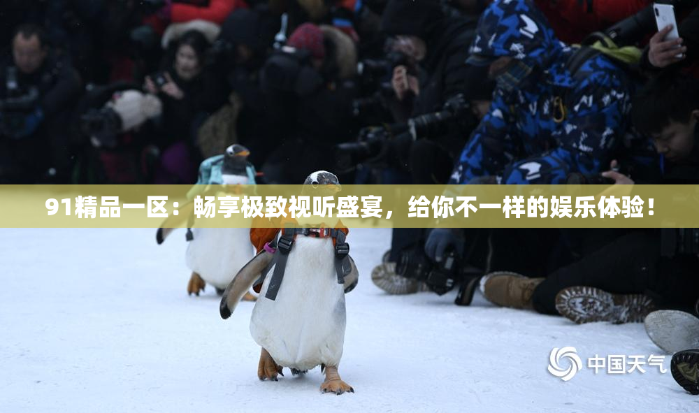 91精品一区：畅享极致视听盛宴，给你不一样的娱乐体验！