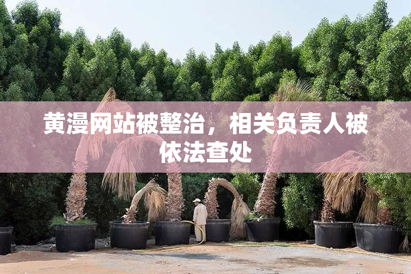 黄漫网站被整治，相关负责人被依法查处