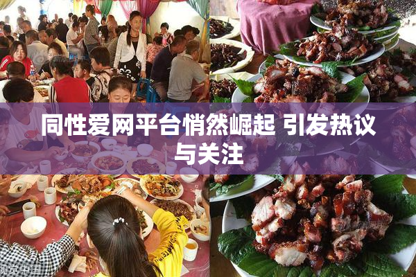 同性爱网平台悄然崛起 引发热议与关注