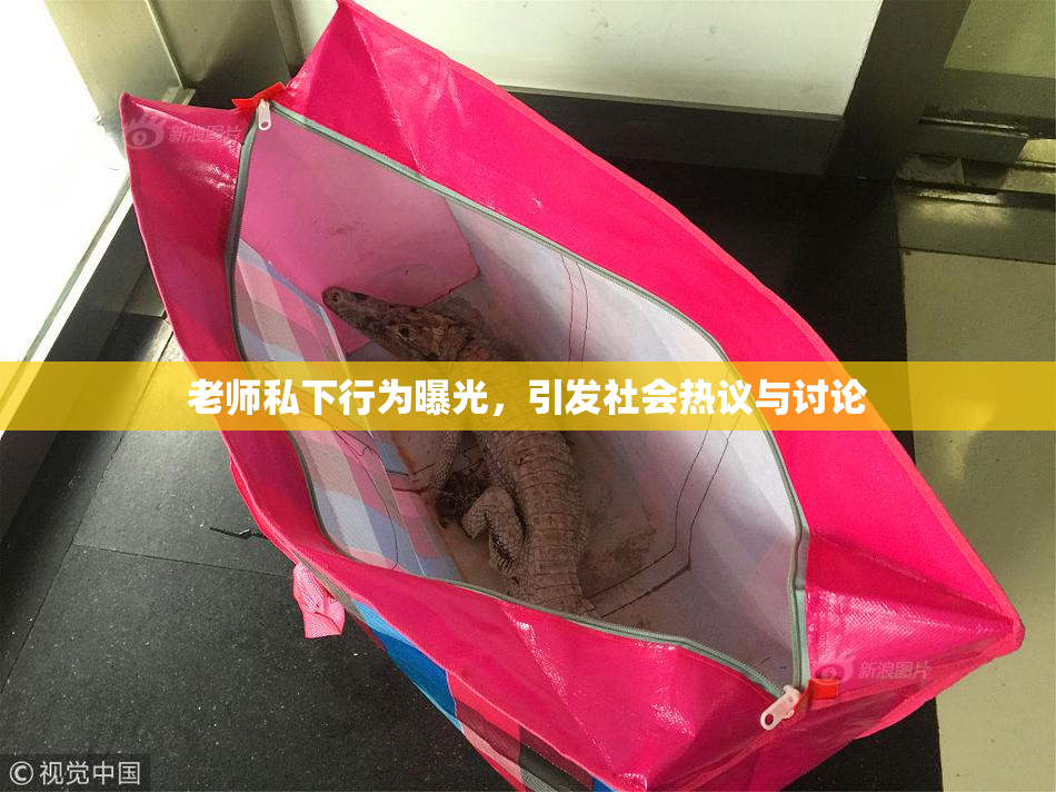 老师私下行为曝光，引发社会热议与讨论