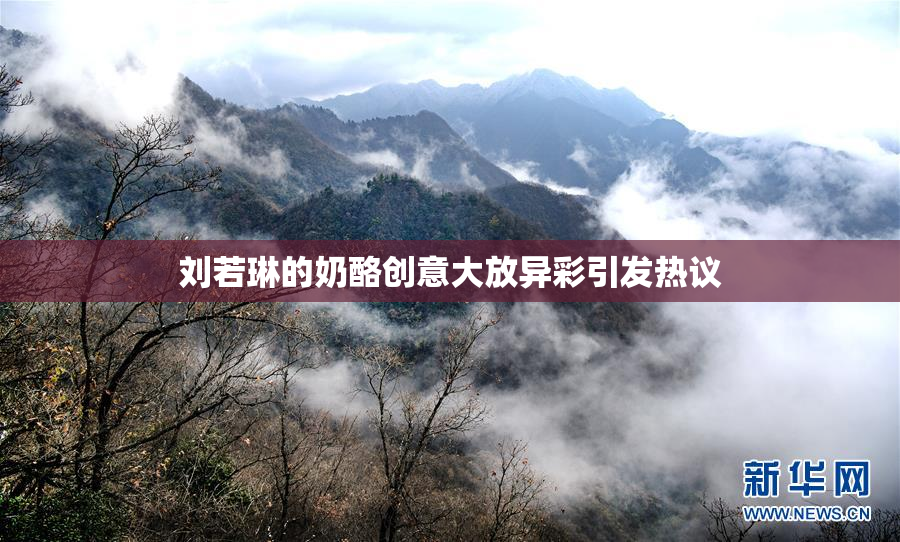 刘若琳的奶酪创意大放异彩引发热议