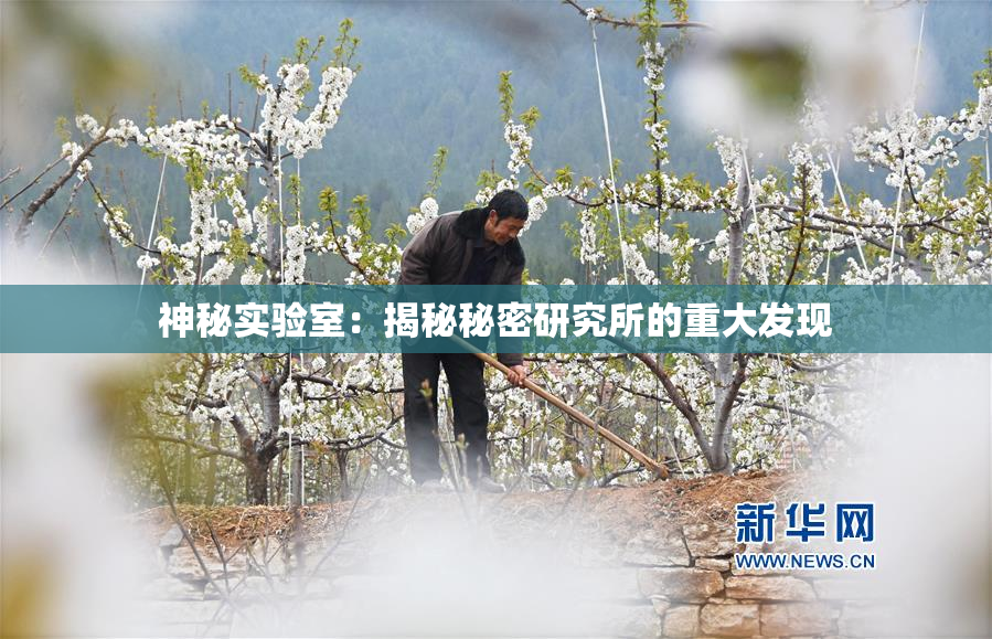 神秘实验室：揭秘秘密研究所的重大发现