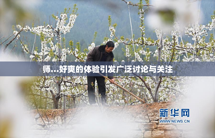师…好爽的体验引发广泛讨论与关注