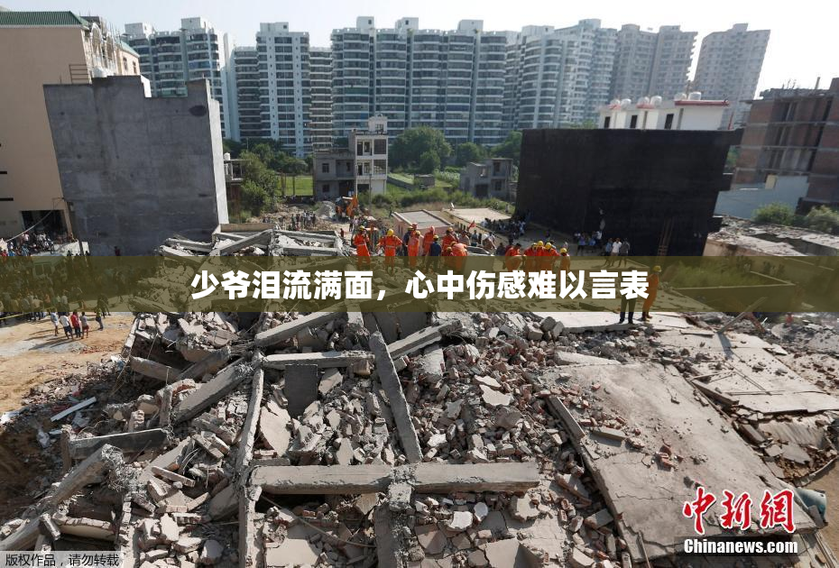 少爷泪流满面，心中伤感难以言表