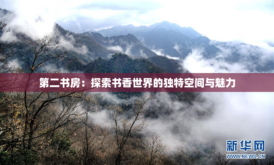 第二书房：探索书香世界的独特空间与魅力