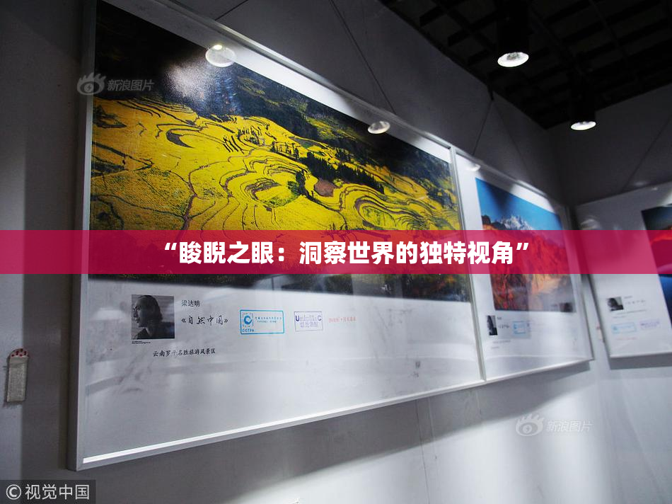 “睃睨之眼：洞察世界的独特视角”