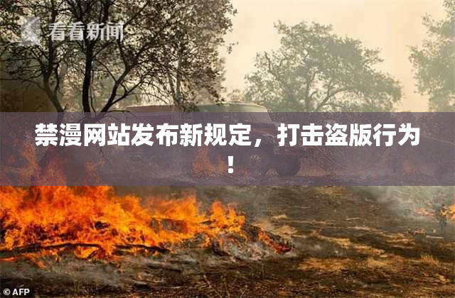 禁漫网站发布新规定，打击盗版行为！