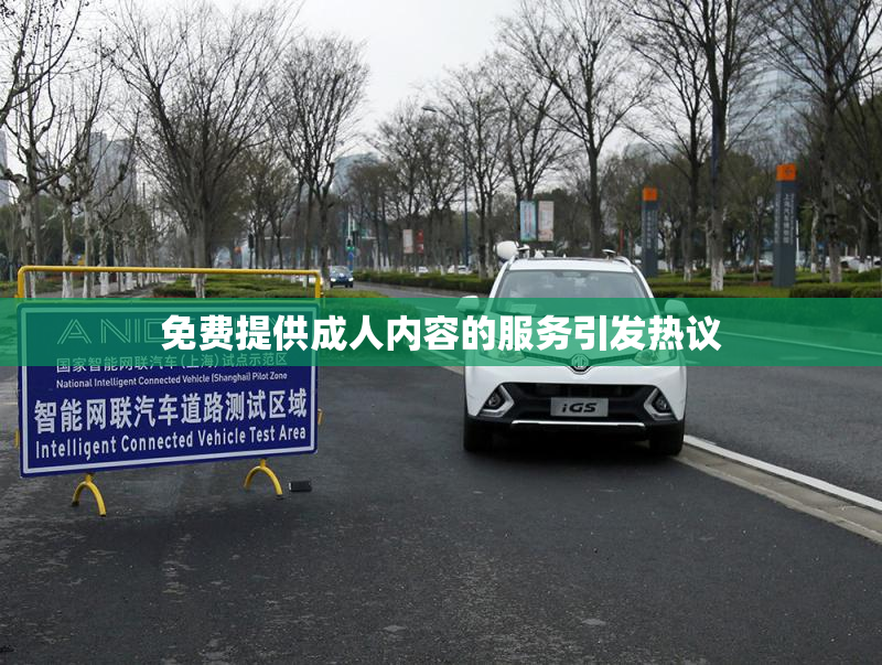 免费提供成人内容的服务引发热议