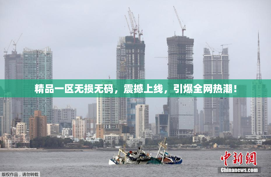 精品一区无损无码，震撼上线，引爆全网热潮！