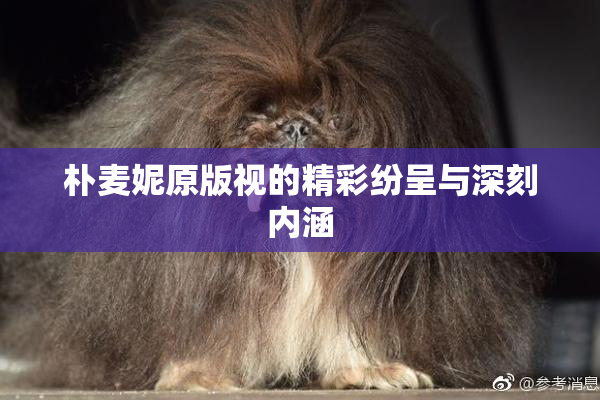 朴麦妮原版视的精彩纷呈与深刻内涵