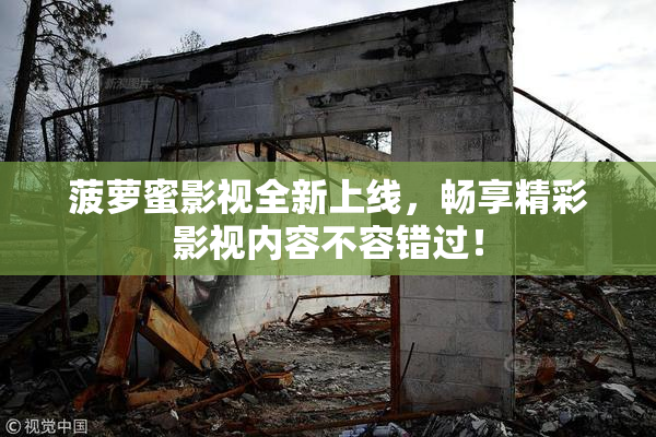 菠萝蜜影视全新上线，畅享精彩影视内容不容错过！