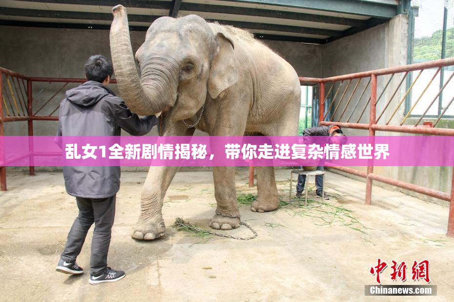 乱女1全新剧情揭秘，带你走进复杂情感世界