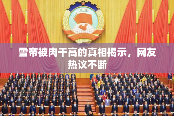 雪帝被肉干高的真相揭示，网友热议不断