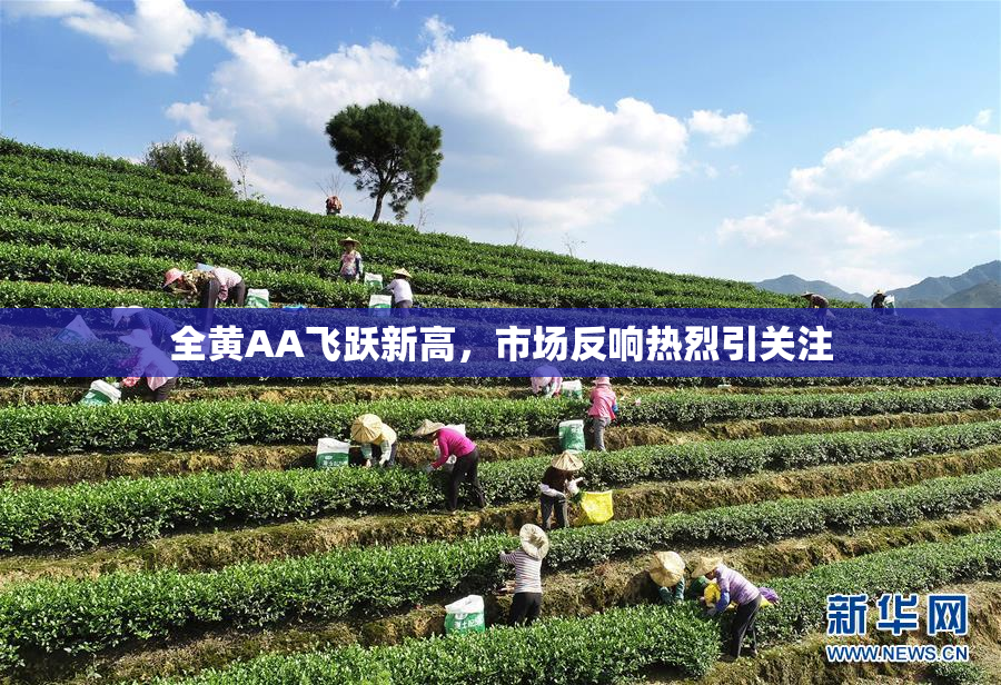 全黄AA飞跃新高，市场反响热烈引关注