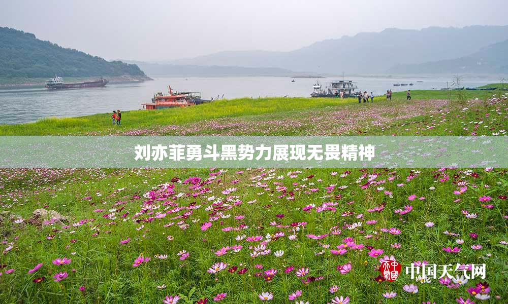 刘亦菲勇斗黑势力展现无畏精神