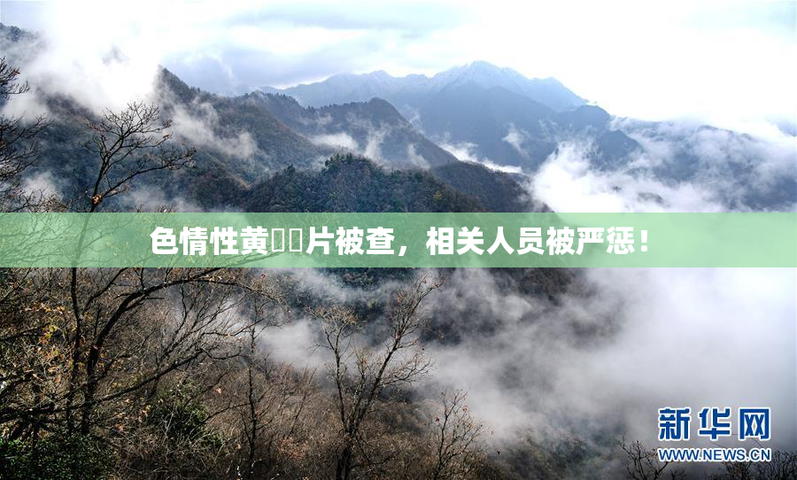 色情性黄❌‌片被查，相关人员被严惩！