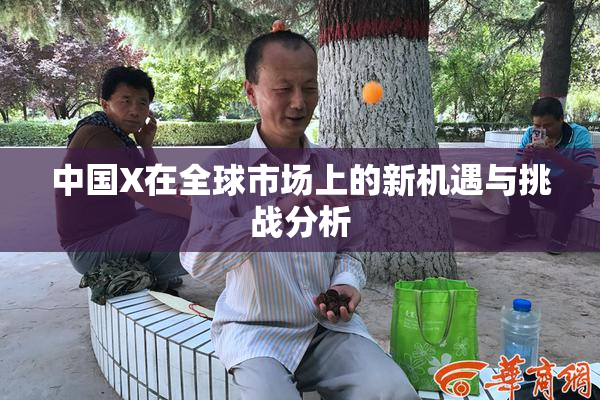 中国X在全球市场上的新机遇与挑战分析