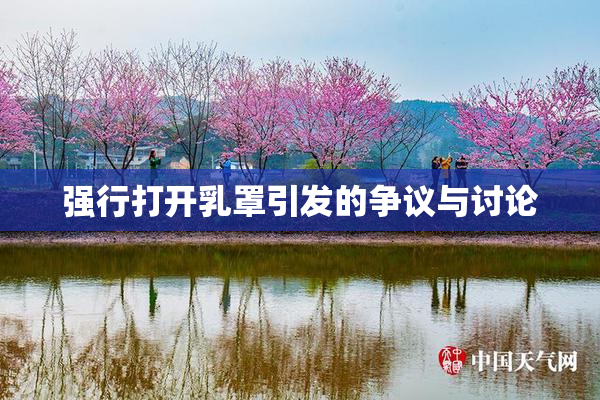 强行打开乳罩引发的争议与讨论