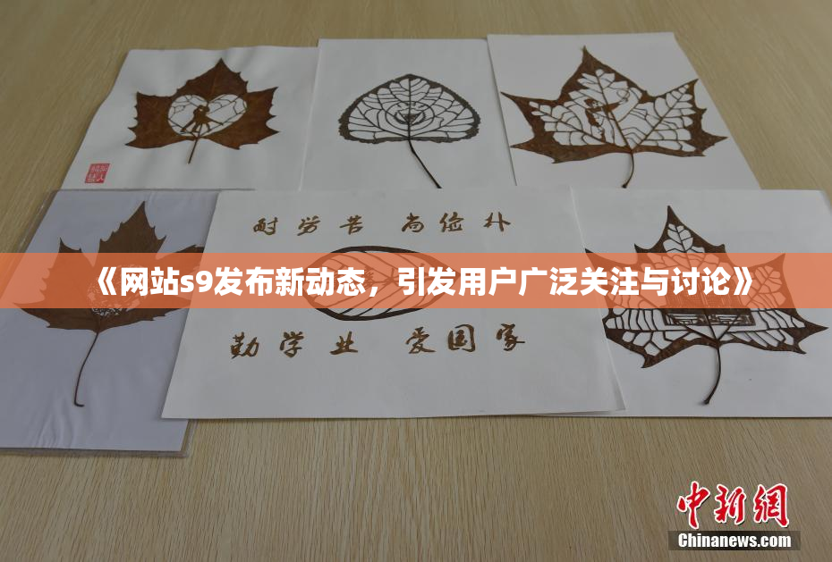 《网站s9发布新动态，引发用户广泛关注与讨论》