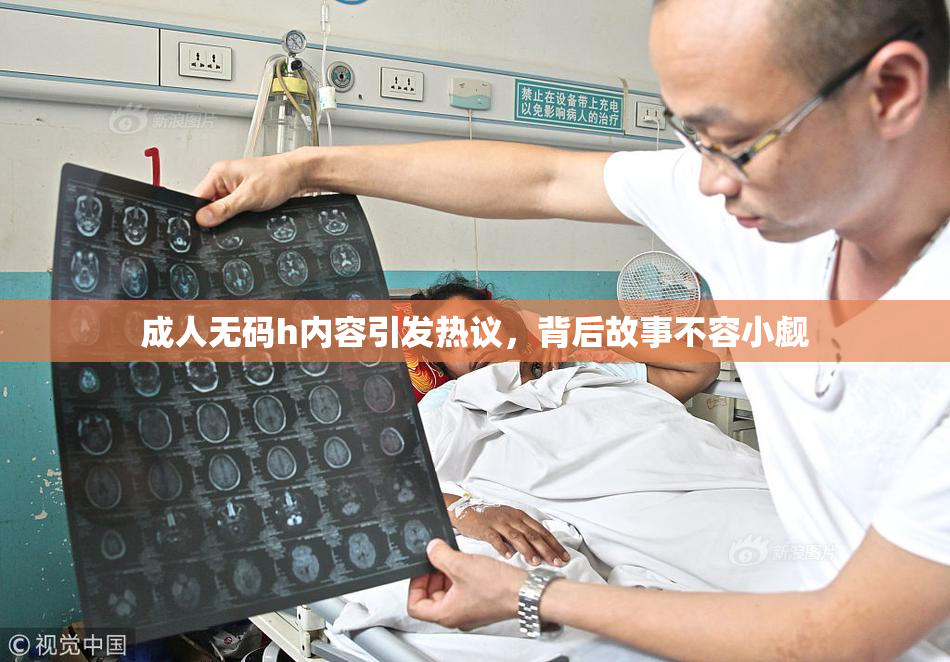 成人无码h内容引发热议，背后故事不容小觑