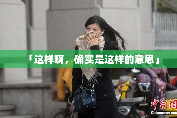 「这样啊，确实是这样的意思」
