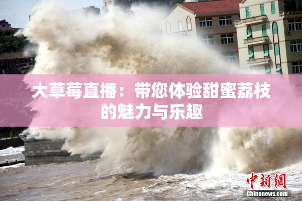 大草莓直播：带您体验甜蜜荔枝的魅力与乐趣