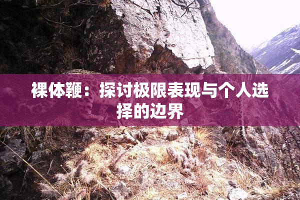 裸体鞭：探讨极限表现与个人选择的边界