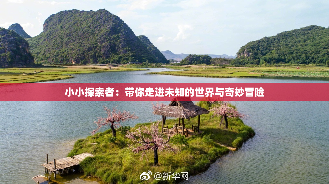 小小探索者：带你走进未知的世界与奇妙冒险
