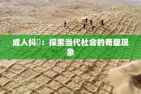 成人抖抈：探索当代社会的奇趣现象