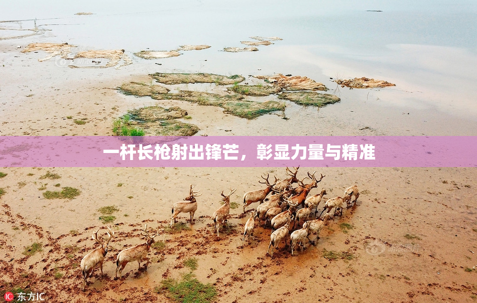 一杆长枪射出锋芒，彰显力量与精准
