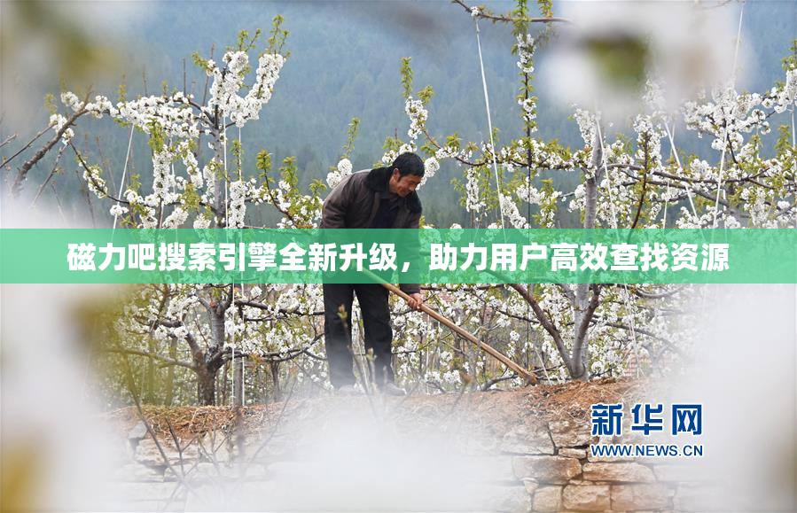 磁力吧搜索引擎全新升级，助力用户高效查找资源