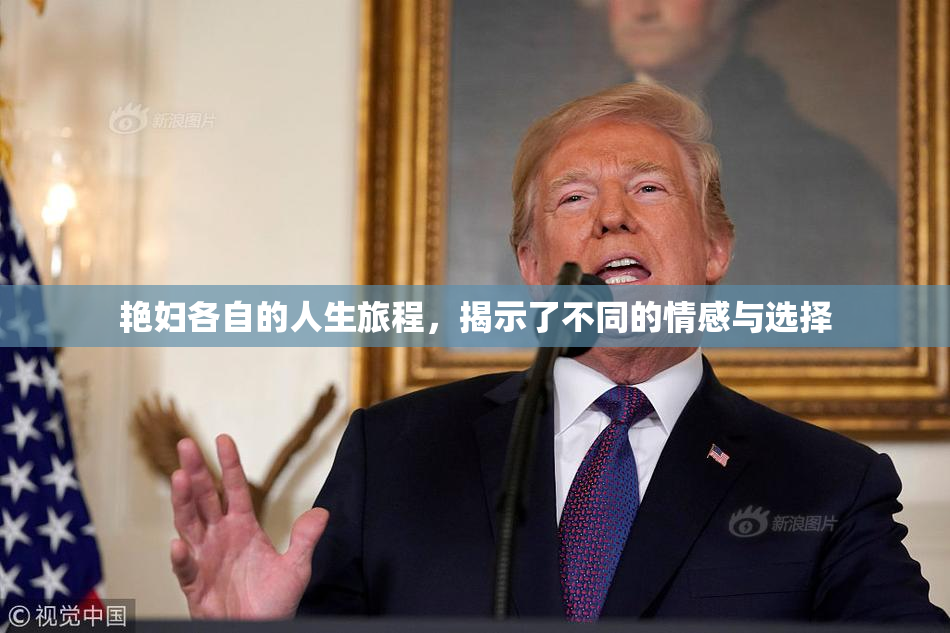 艳妇各自的人生旅程，揭示了不同的情感与选择