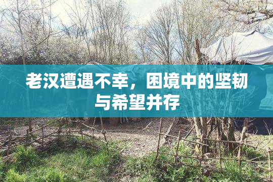 老汉遭遇不幸，困境中的坚韧与希望并存