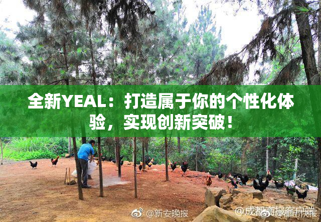 全新YEAL：打造属于你的个性化体验，实现创新突破！
