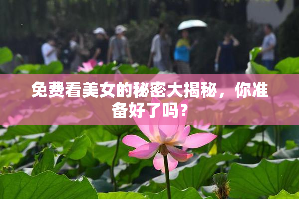 免费看美女的秘密大揭秘，你准备好了吗？