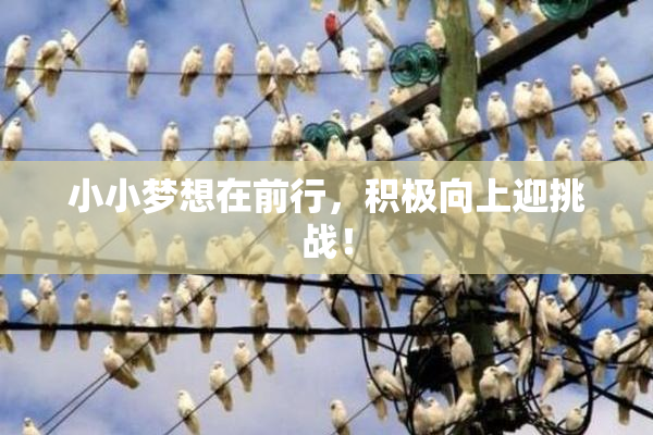 小小梦想在前行，积极向上迎挑战！