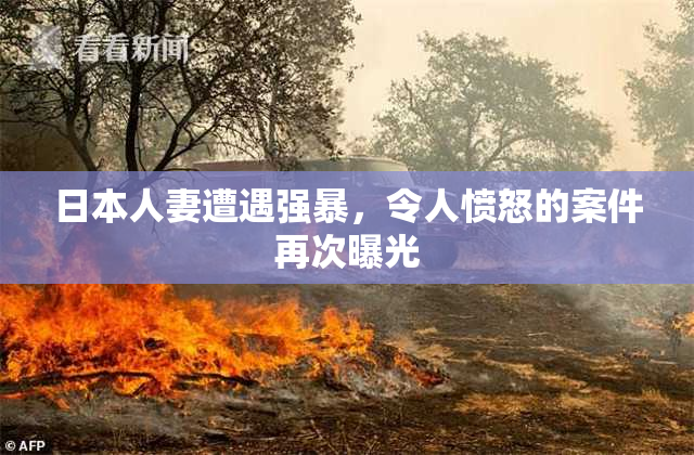 日本人妻遭遇强暴，令人愤怒的案件再次曝光
