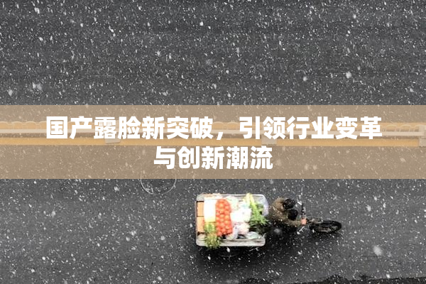 国产露脸新突破，引领行业变革与创新潮流