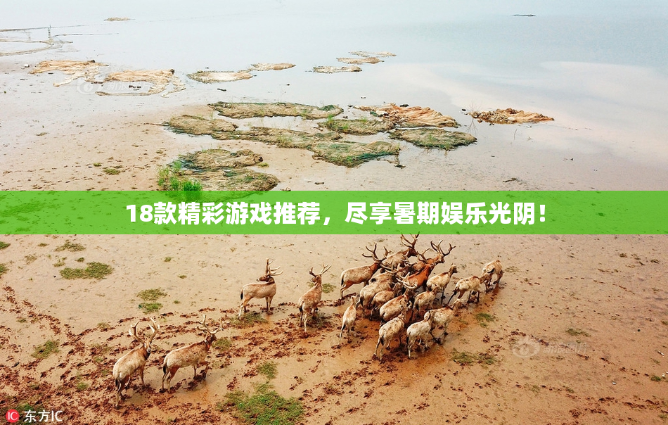 18款精彩游戏推荐，尽享暑期娱乐光阴！
