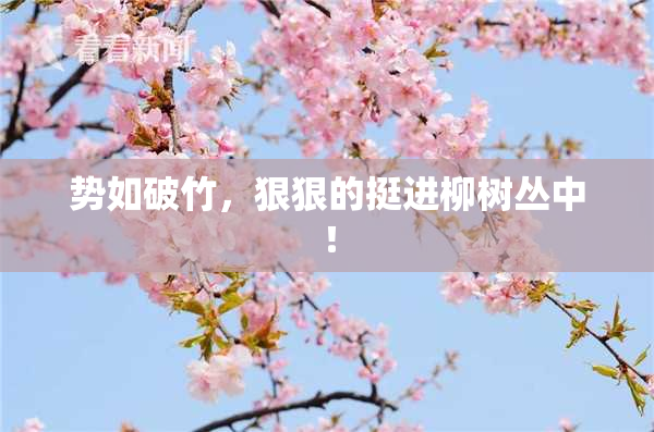 势如破竹，狠狠的挺进柳树丛中！