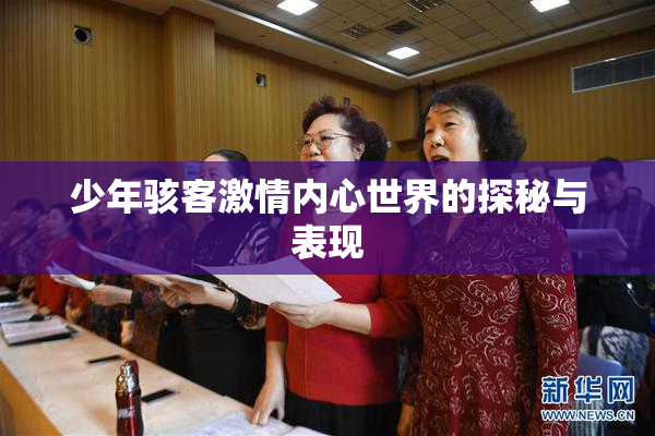 少年骇客激情内心世界的探秘与表现