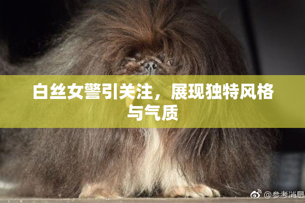 白丝女警引关注，展现独特风格与气质