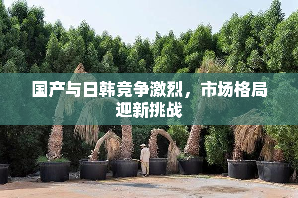 国产与日韩竞争激烈，市场格局迎新挑战