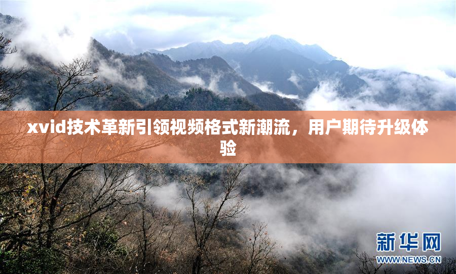 xvid技术革新引领视频格式新潮流，用户期待升级体验