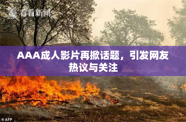 AAA成人影片再掀话题，引发网友热议与关注