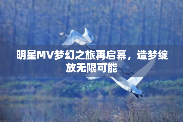 明星MV梦幻之旅再启幕，造梦绽放无限可能