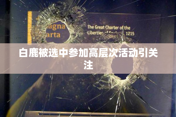 白鹿被选中参加高层次活动引关注