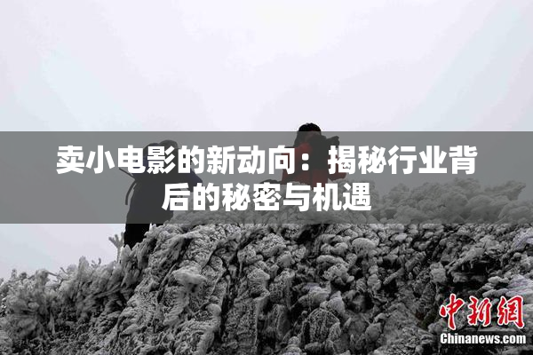 卖小电影的新动向：揭秘行业背后的秘密与机遇