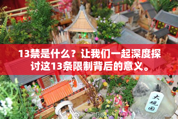 13禁是什么？让我们一起深度探讨这13条限制背后的意义。