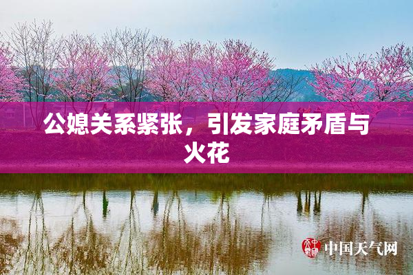 公媳关系紧张，引发家庭矛盾与火花